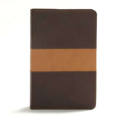CSB Disciple's Study Bible Brown Tan Leathertouch Black Letter Reading Plan
