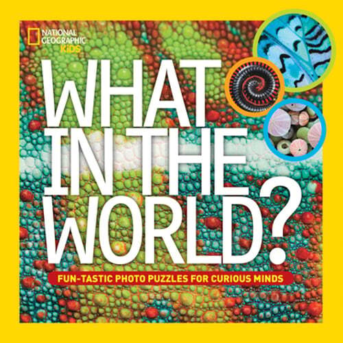 Fun-Tastic Photo Puzzles for Curious Kids - What in the World