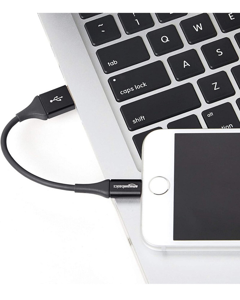 AmazonBasics 4in Lightning to USB Cable MFi Certified iPhone Charger - - -2 PACK-image