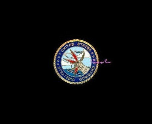 USAF Strategic Command Shield with Exclusive Promo Pin  