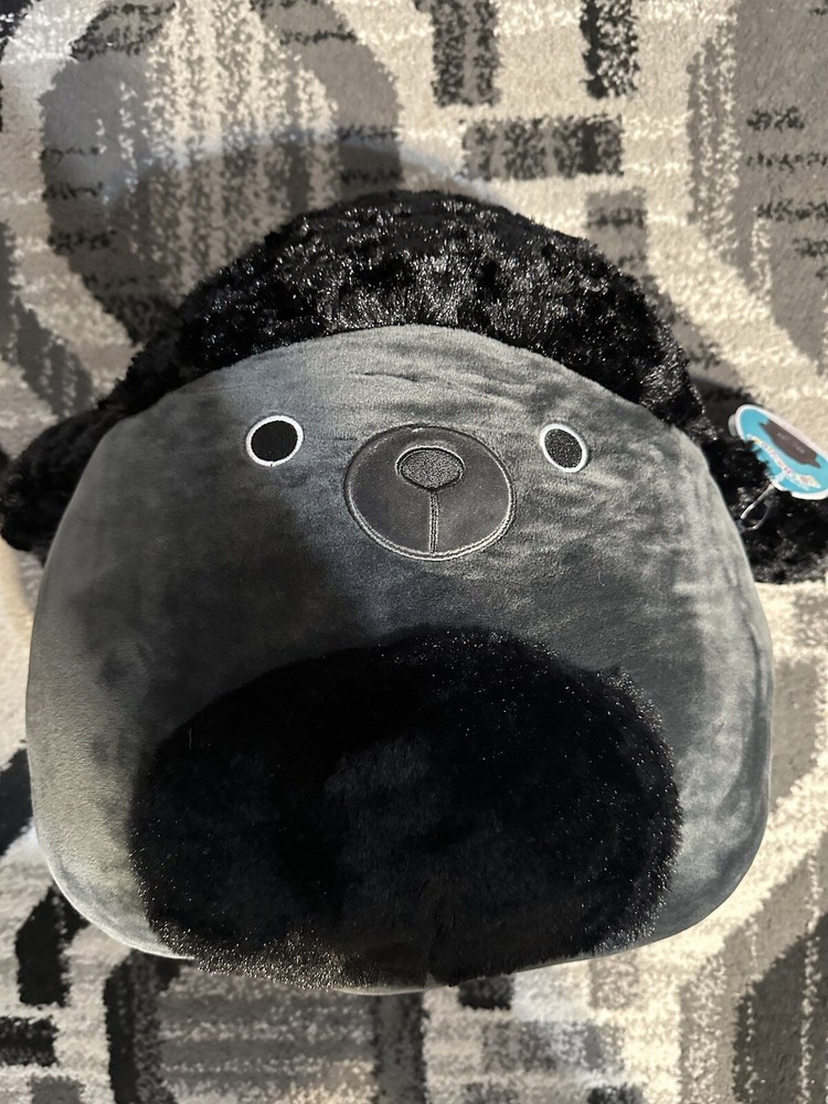 Squishmallow Jettward Black Poodle HARD TO FIND NWT 14