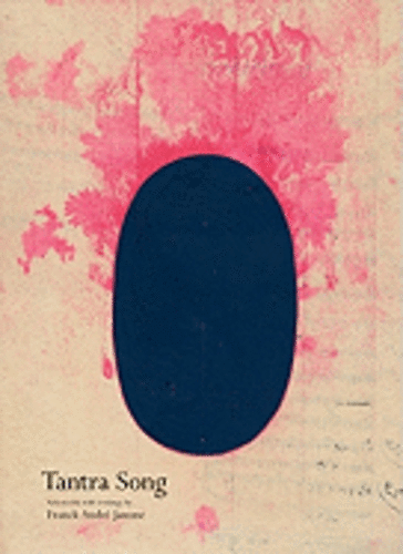 Tantra Song: Tantric Painting from Rajasthan by Franck Andr Jamme: New