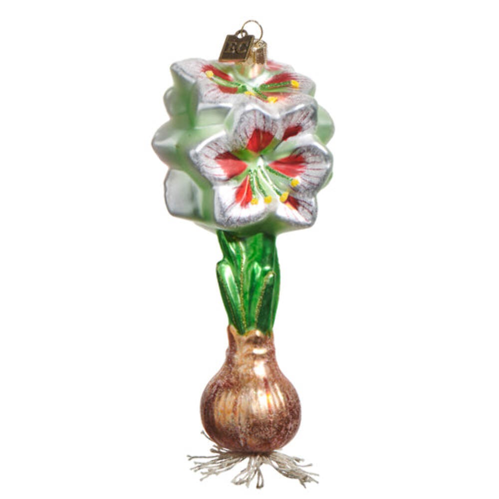 White and Red Amaryllis Bulb Glass Ornament 6
