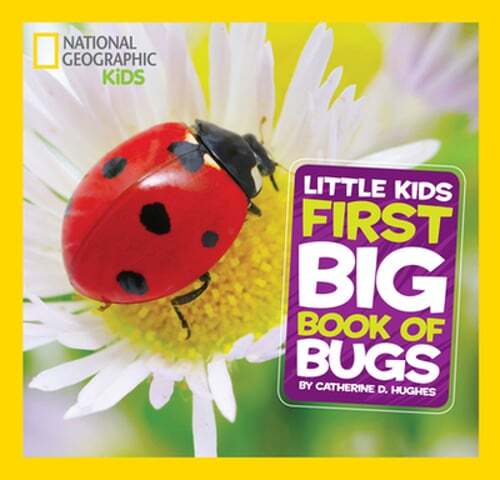 Little Kids First Big Book of Bugs by Catherine D. Hughes: New