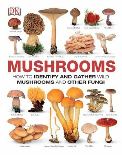 Mushrooms: How to Identify and Gather Wild Mushrooms and Other Fungi by DK: New