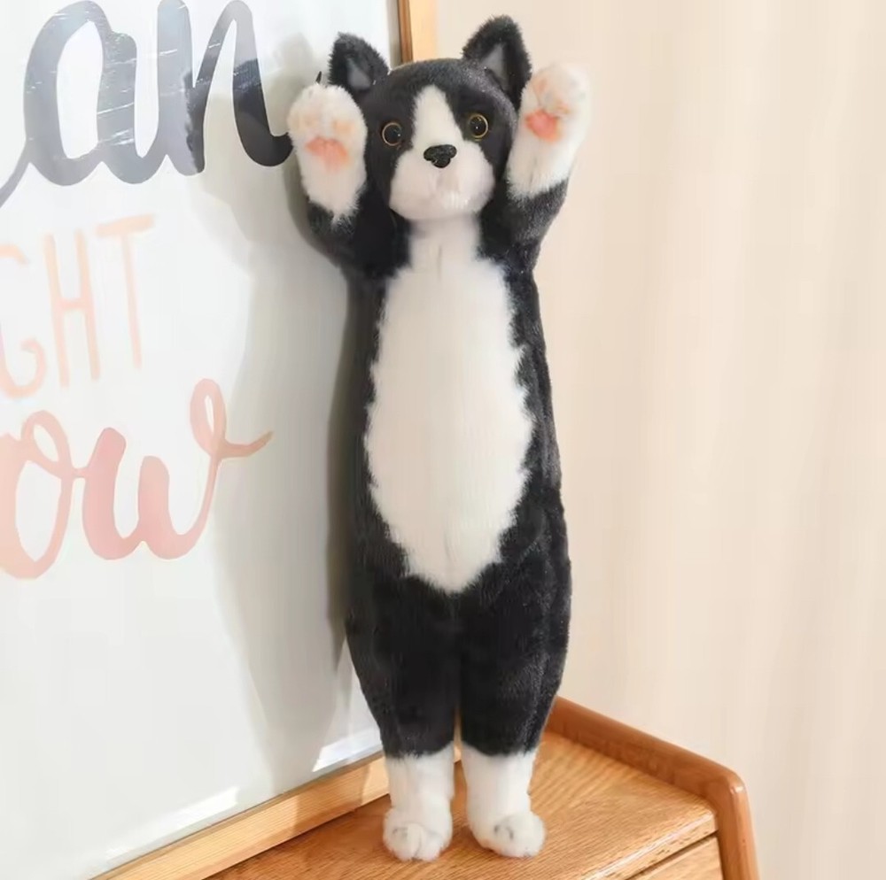 Kitten Tabby Cat 10