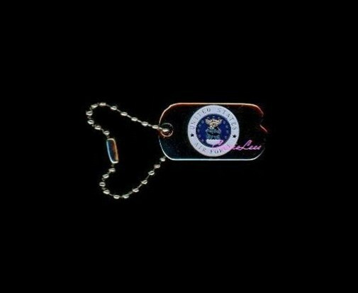 USAF (dog tags)  + a custom promo pin