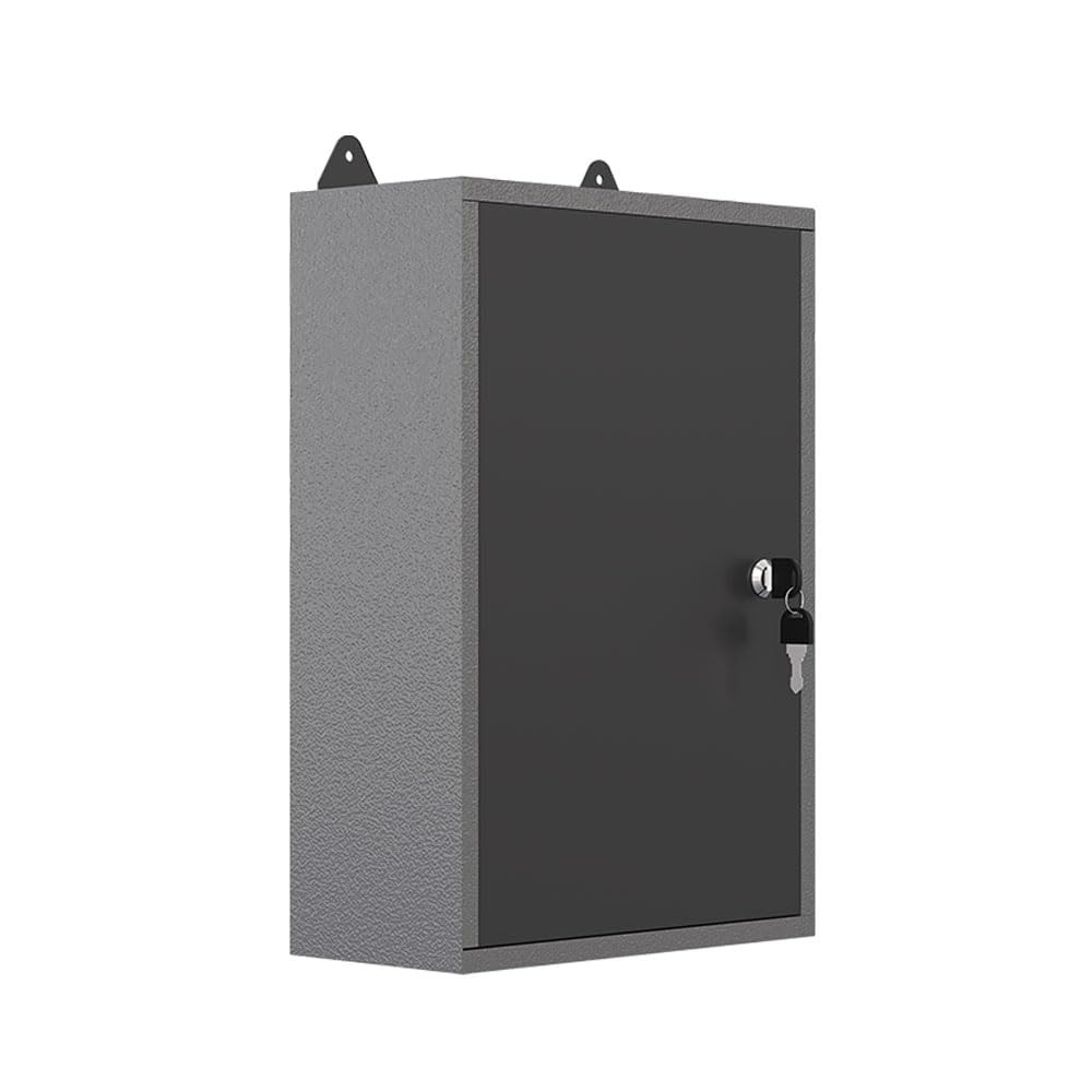Steel Wall-Mounted Tool Cabinet with Locking Door for Home Storage