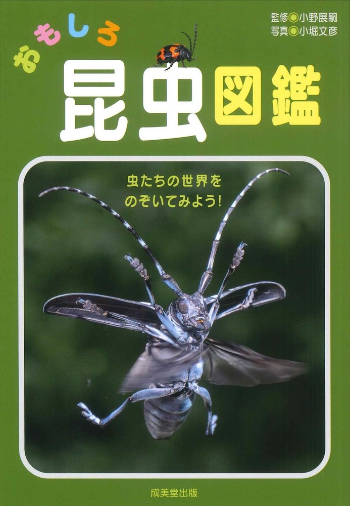 Interesting Insect Encyclopedia [Book]