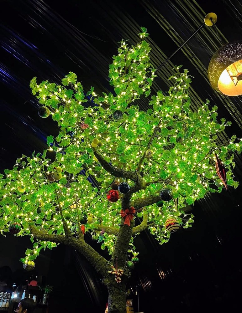Digital Floral Photography Wallpaper – Tree Lights Desktop Background Art $0.99
