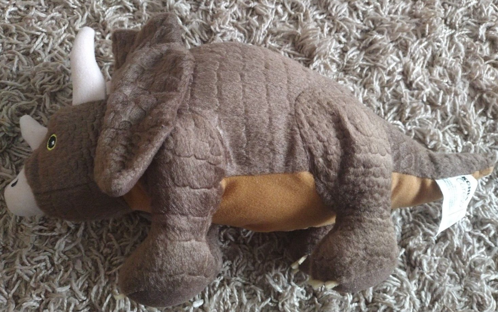 Triceratops Dinosaur 13