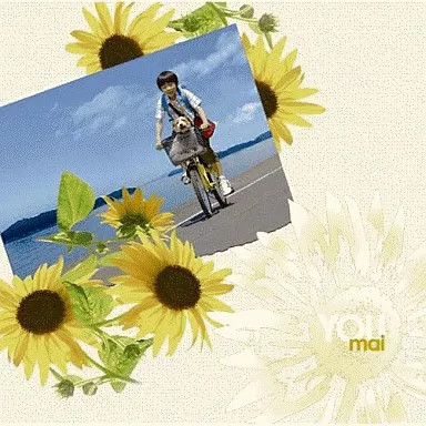 Mai You Japanese music CD Collectible Album