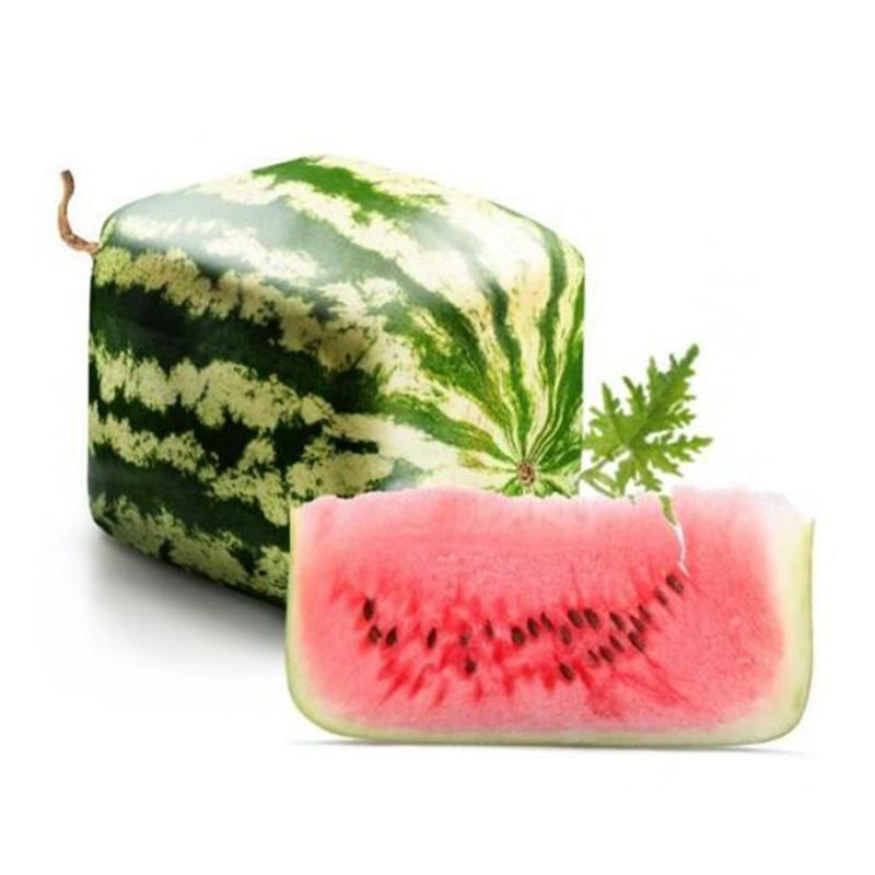 50 Square Sweet Watermelon Seeds Citrullus Organic Heirloom