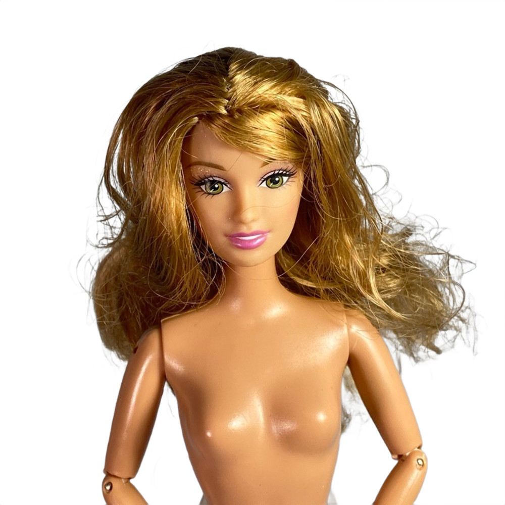 2006 The 12 Dancing Princesses Fallon Barbie #J8905 Doll