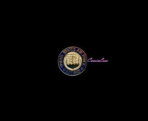 USAF Retired lapel pin + a custom promo pin