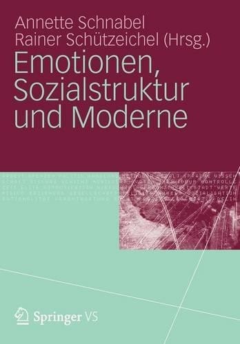 Emotionen, Sozialstruktur und Moderne - 9783531174112