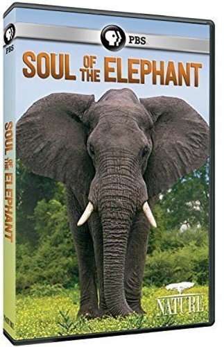 Nature: Soul of the Elephant (DVD)