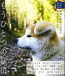 The Other Akita 