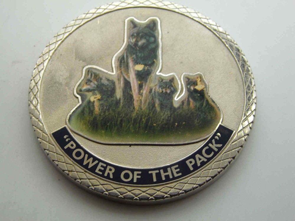 LOGISTICS SERVICES CHALLENGE COIN-image