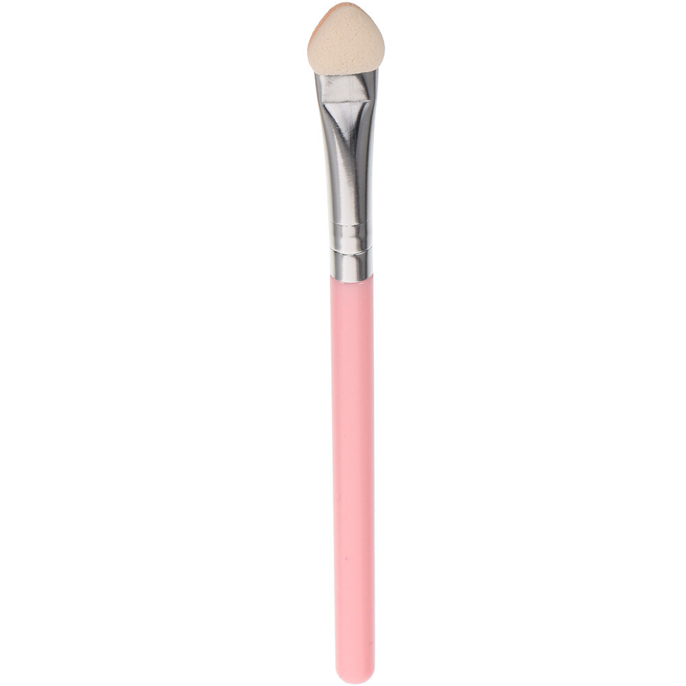 Professional Eye Makeup Brush Set with Sponge Applicators