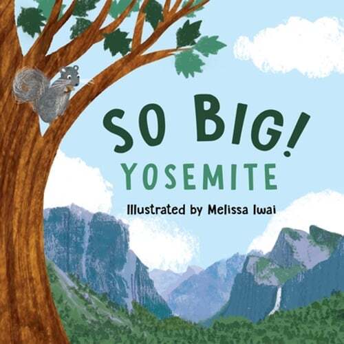 So Big! Yosemite by Melissa Iwai: New