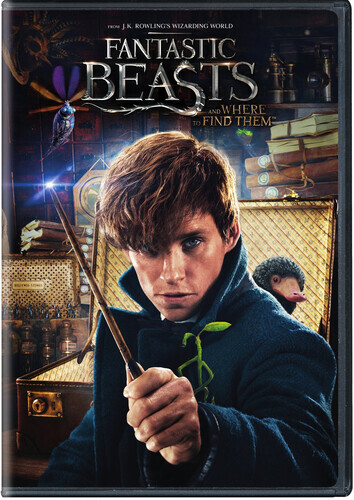 Fantastic Beasts and Where to Find Them (DVD)