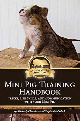 Mini Pig Training - Paperback, by Chronister Kimberly; Matlock - Very Good
