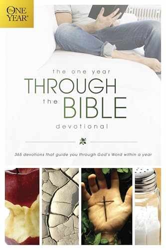 The One Year Through the Bible - Paperback, by Veerman David R. - Very Good