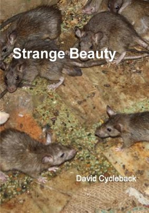 Strange Beauty, Like New Used, Free shipping in the US