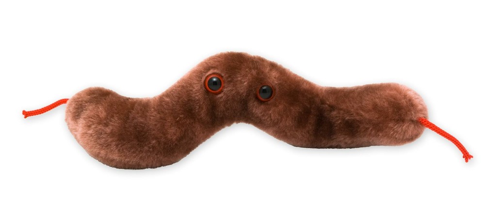 Giant Microbes Diarrhea Cell Original Plush Soft Toy Educational Gift 24cm