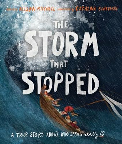 The Storm That Stopped Storybook: A True Story about Who Jesus Really Is: New