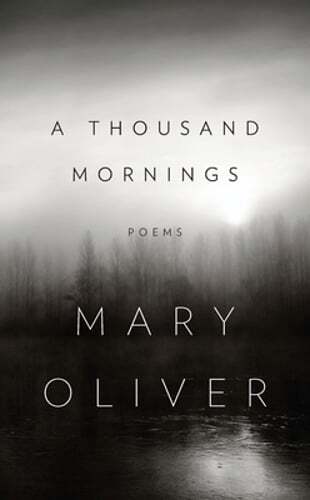 A Thousand Mornings by Mary Oliver: New