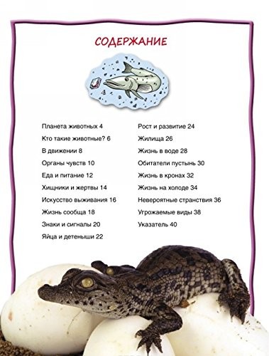 Zhivotnye (100 faktov) by Various authors Book The Fast Free ShippingFREE US DELIVERY | ISBN: 5353076214 | Quality Books