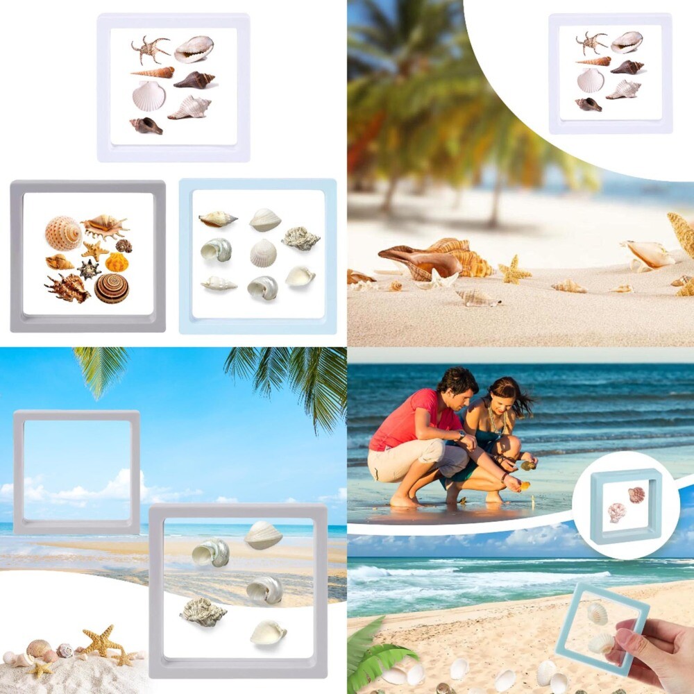 3PCS 7*7*2cm Seashell Storage Box Small Craft Organizers Display Case Decoration