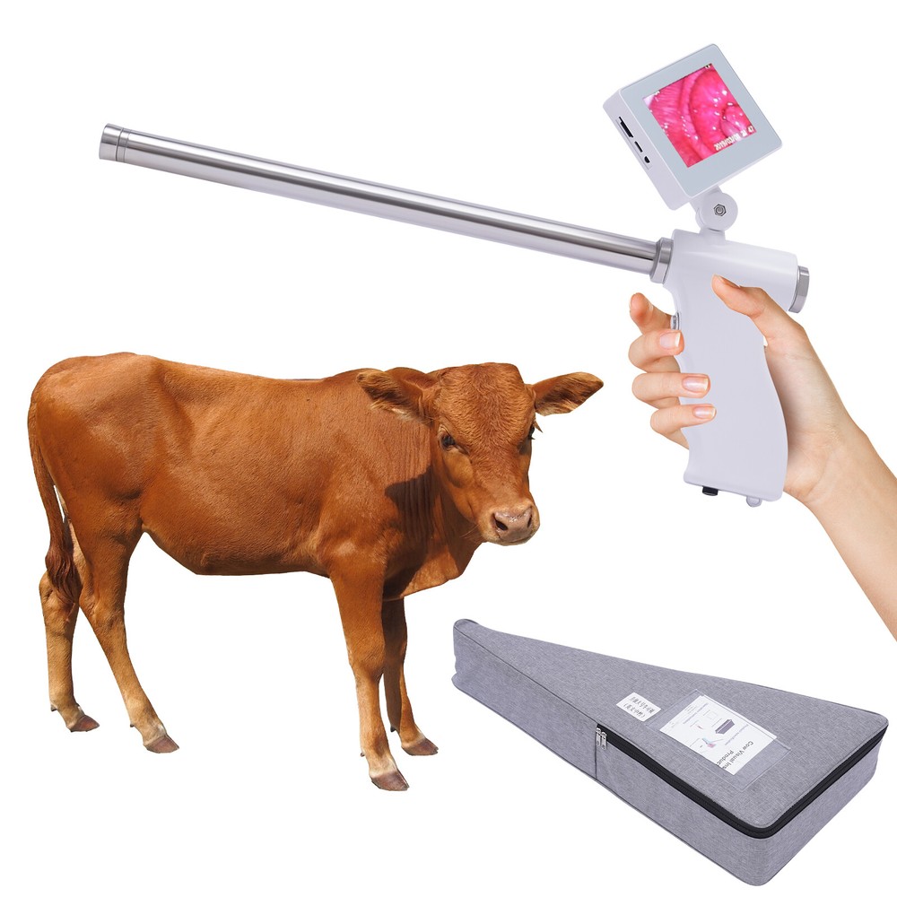 Visual Insemination Gun Kit for Cattle and Livestock Artificial Insemination HD-image