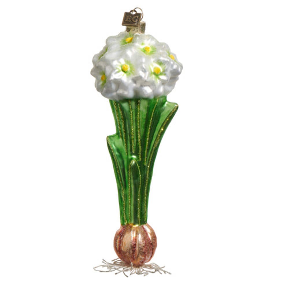 Paperwhite Bulb Glass Ornament 7