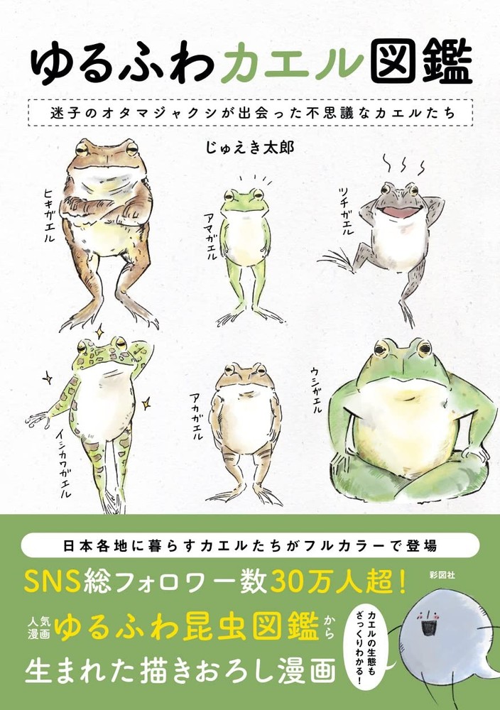 Soft and Fluffy Frog Encyclopedia Jueki Taro [Book]