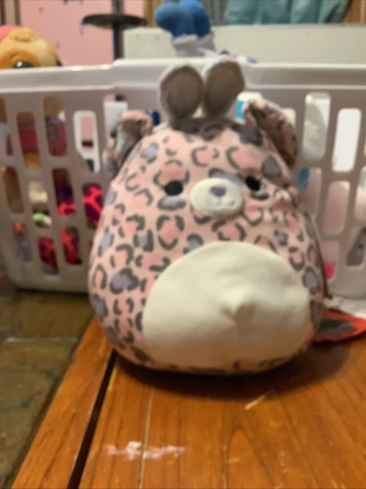 Squishmallows 8