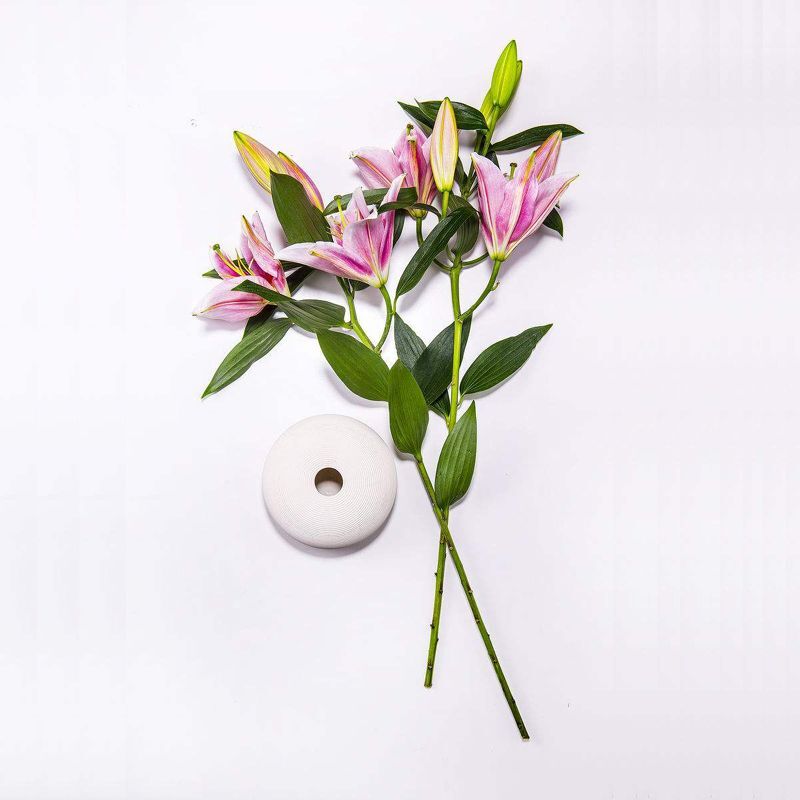 100 Grains Colorful Lily Flower Lilium Garden Flower