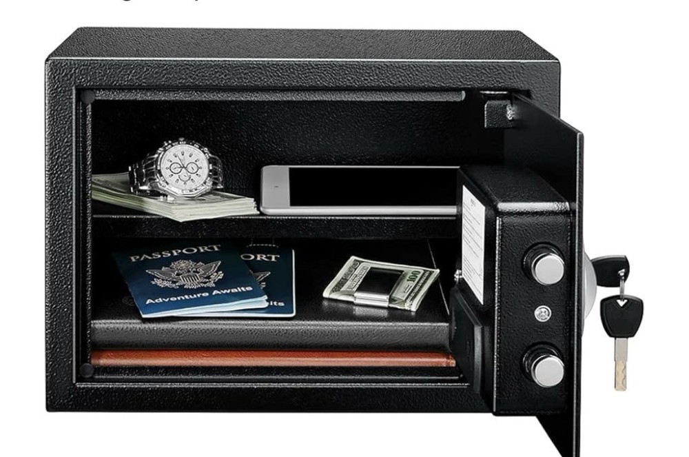 AmazonBasics 25EI 0.5 Cubic Feet Security Safe-image