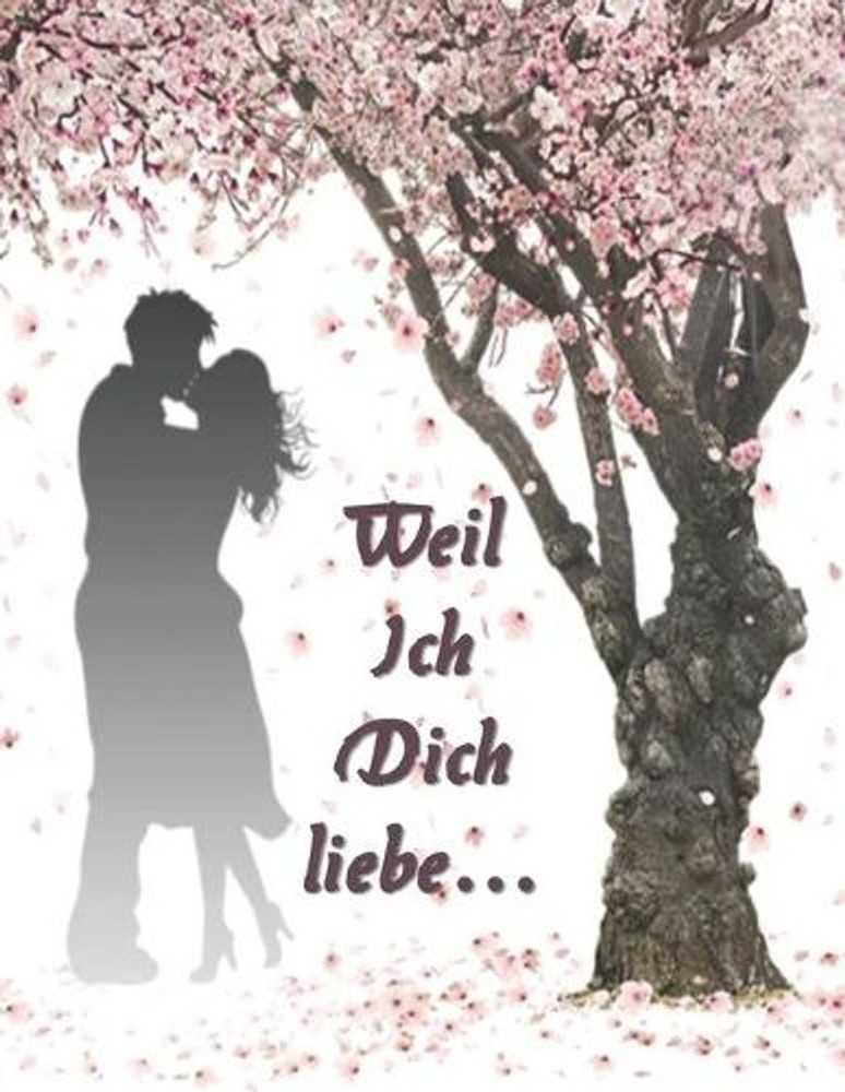 Weil ich Dich liebe: Eine originelle Liebeserkl?rung zum Ausf?llen und Verschenk